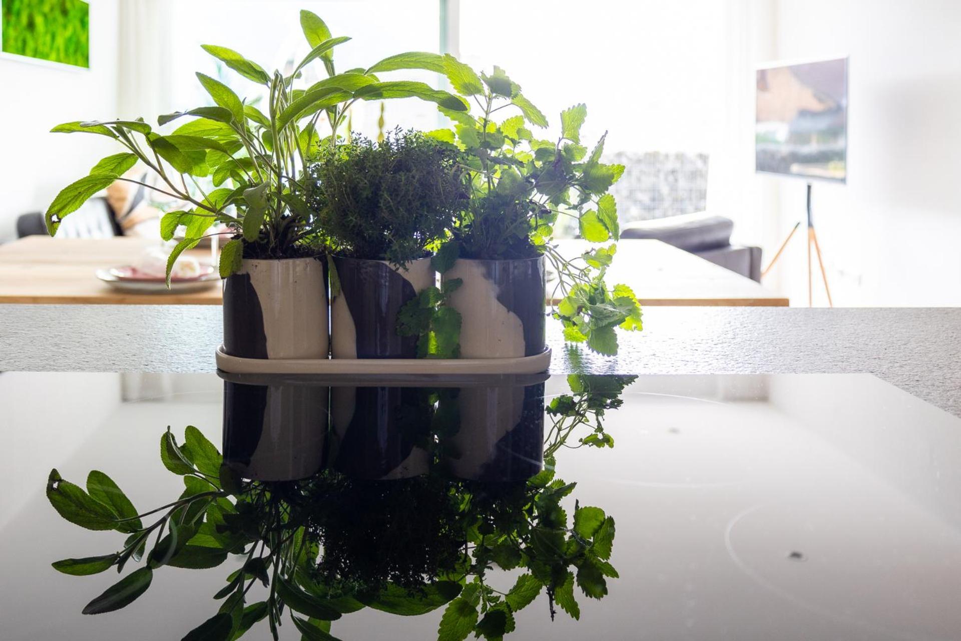 Ferienwohnung Oba'Doba 2 Pfronten Luaran gambar